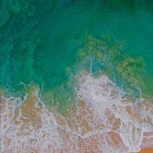 Meet your Posher, Kenneth